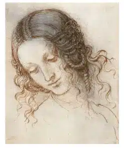 Study for the Head of Leda by Leonardo da Vinci c.1506