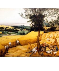 The Harvesters by Pieter Bruegel 1565