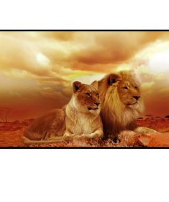 Lion and a Lioness Enjoying the View 3