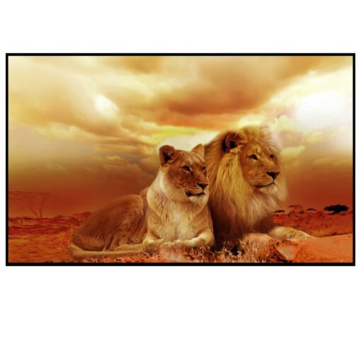 Lion and a Lioness Enjoying the View Printed on Canvas - Image 4