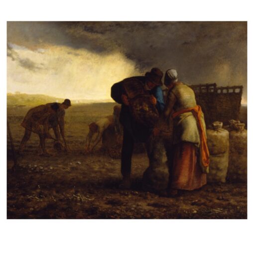 The Potato Harvest by Jean Francois Millet 1855