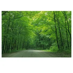 Green Tree