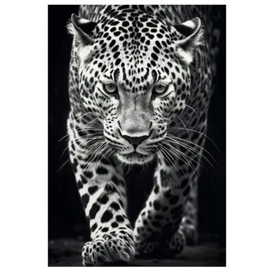 Image of Panthers Printed on Canvas - Image 3