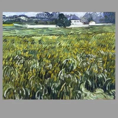 Wheat Field at Auvers with White House by Vincent van Gogh 1890