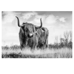 Highland Cow Picture Printed on Canvas - Image 4