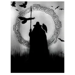 Illustrations of Odin