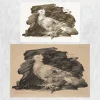 Pigeon With Gray Background by Pablo Picasso Printed on Canvas