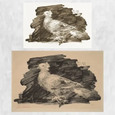 Pigeon With Gray Background by Pablo Picasso Printed on Canvas