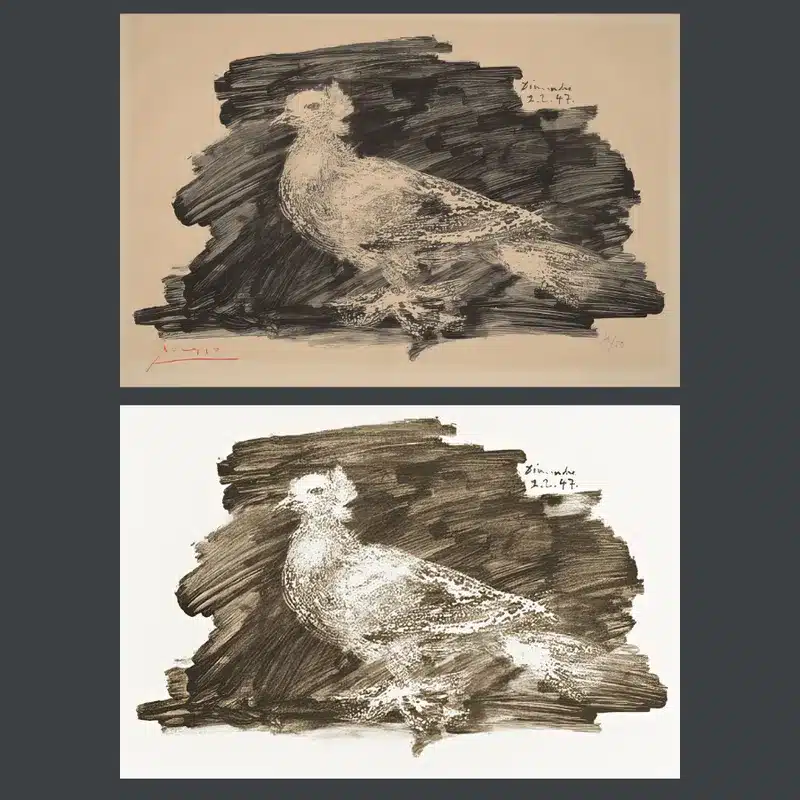 Pigeon With Gray Background by Pablo Picasso Printed on Canvas