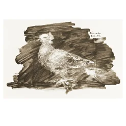 Pigeon with Gray Background by Pablo Picasso 1947