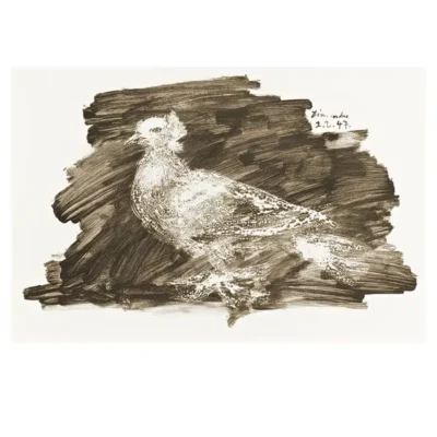 Pigeon with Gray Background by Pablo Picasso 1947