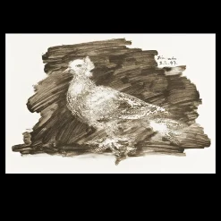 Pigeon with Gray Background by Pablo Picasso 1947