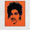 Orange Prince by Andy Warhol Printed on Canvas