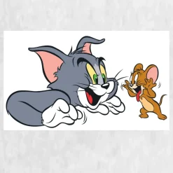 The Cat and Mouse Tom and Jerry