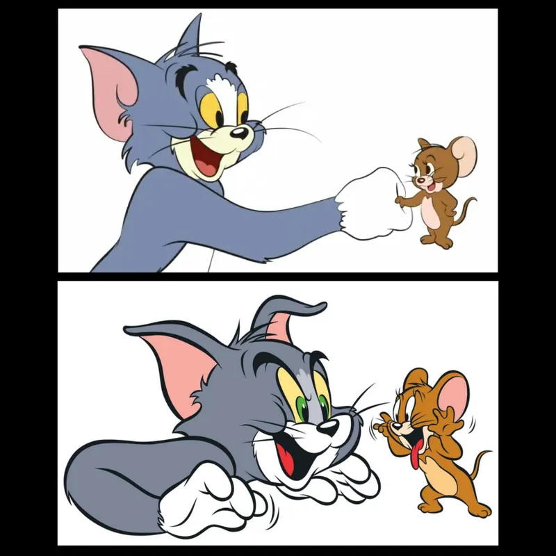 The Cat and Mouse Tom and Jerry Printed on Canvas